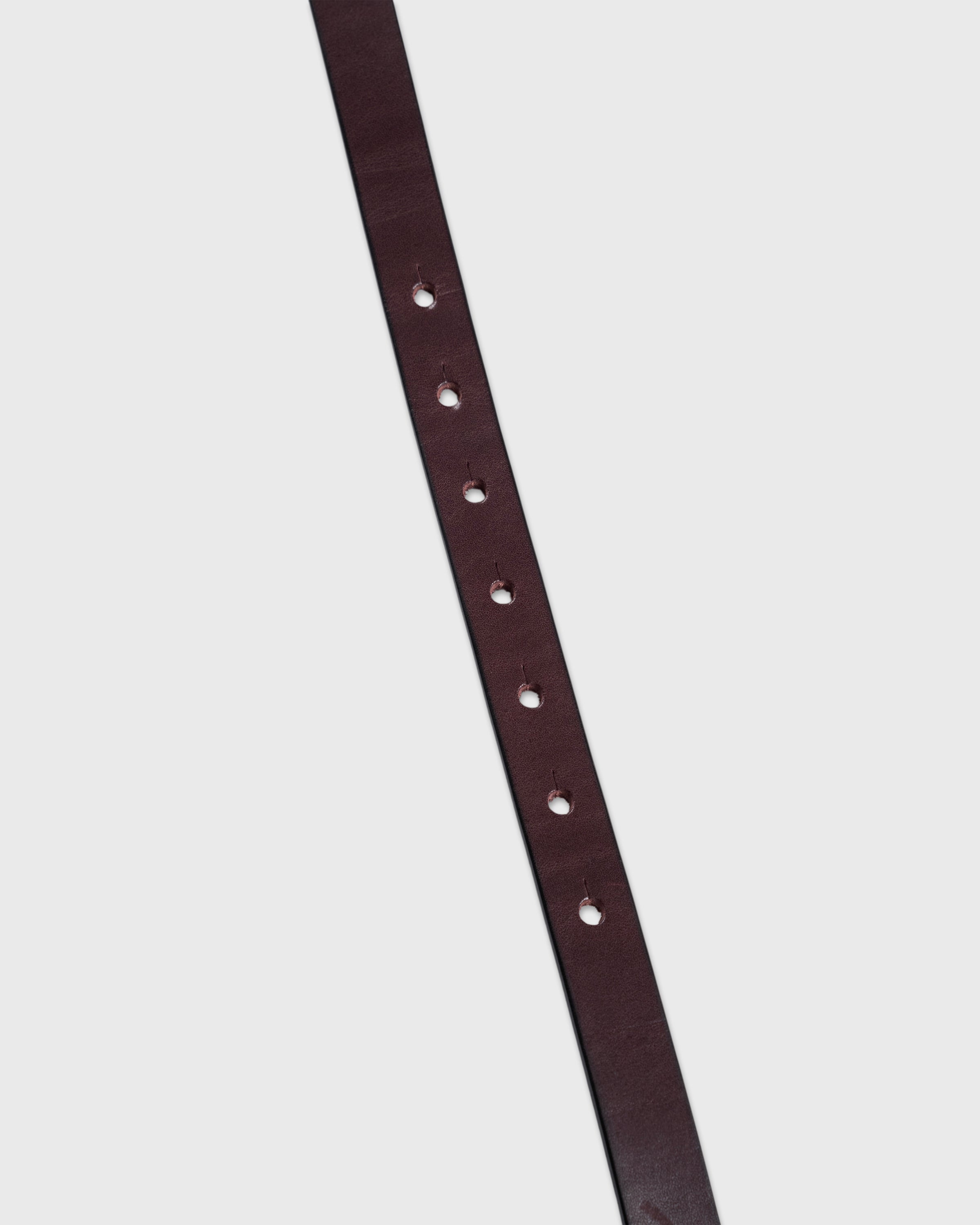 HAAL Giboshi Belt, Choco