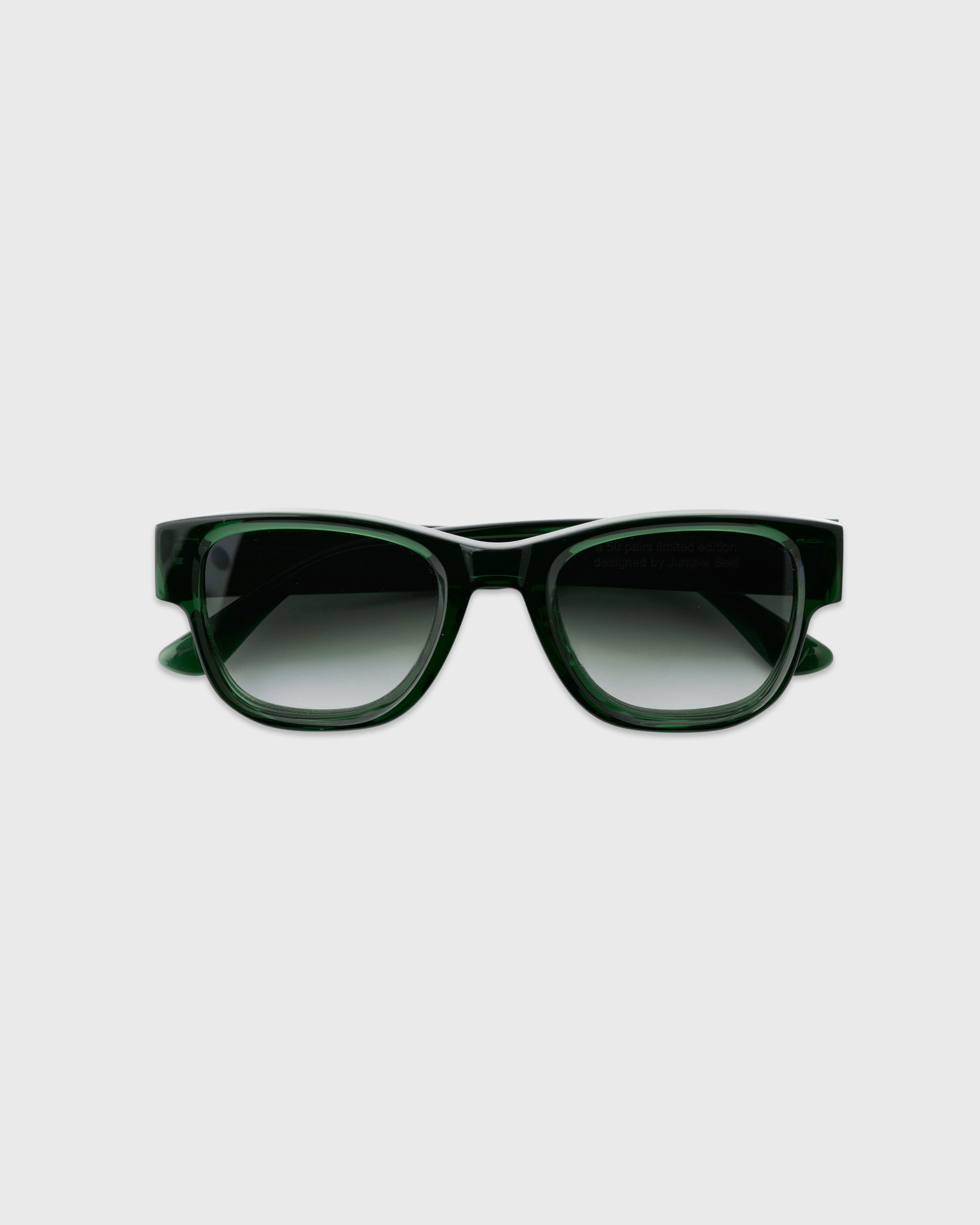 WAITING FOR THE SUN Tedeux Jumpei Seki 15th Anniversary Model, Green