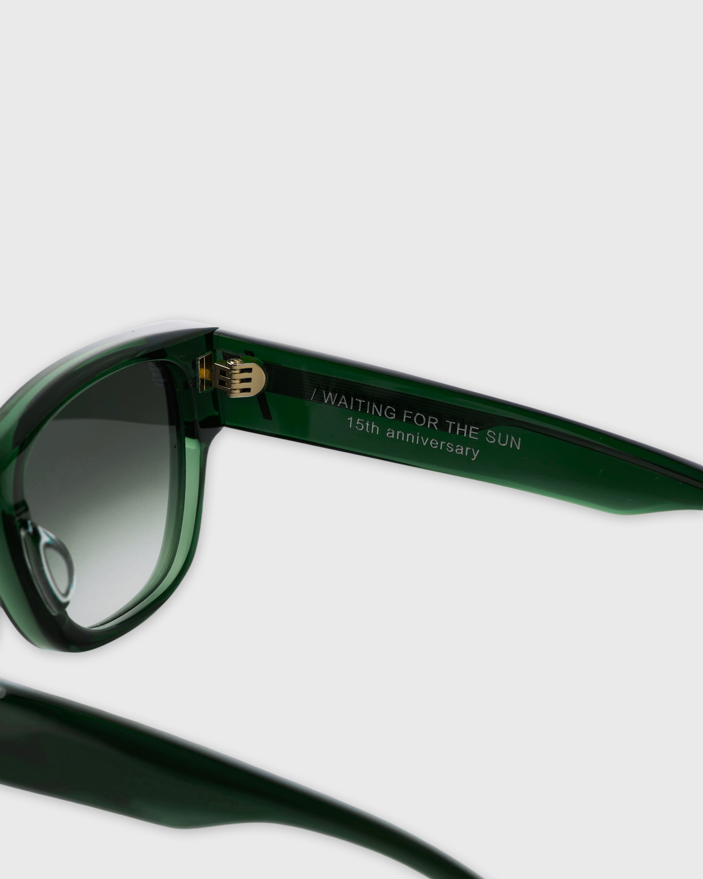 WAITING FOR THE SUN Tedeux Jumpei Seki 15th Anniversary Model, Green